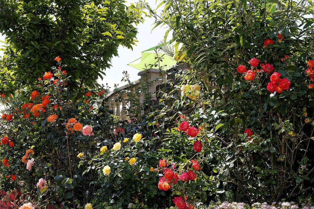 Hotel Garni Regina Goessweinstein Eksteriør billede